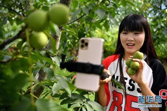 窥见未来农产品发展五大趋势 县域为何是品牌建设主战场