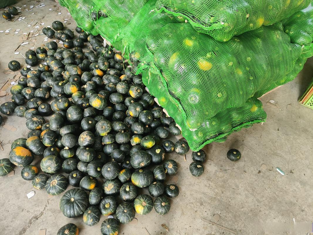 单品极致化 农产品供应链仓库的专业化运营之道