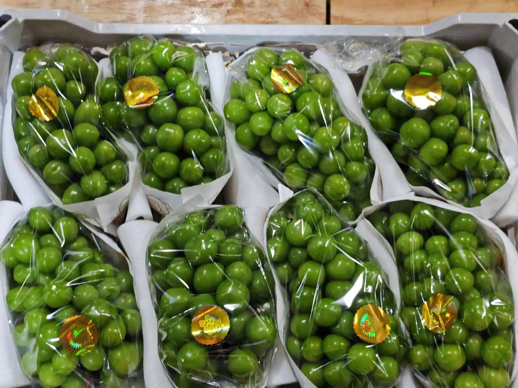 包装袋都不够大的大串大颗粒，总行了吧